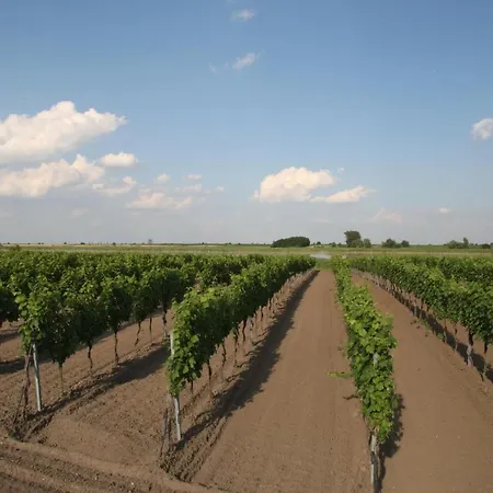 Arkadenweingut-Gästehaus Heiss-2